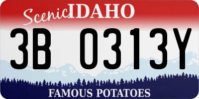 ID license plate 3B0313Y