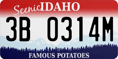 ID license plate 3B0314M