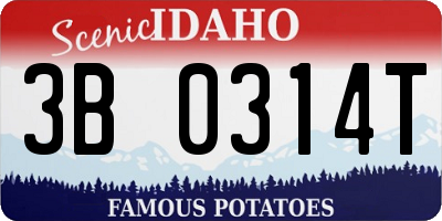 ID license plate 3B0314T