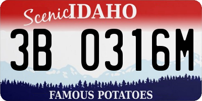ID license plate 3B0316M