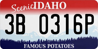 ID license plate 3B0316P