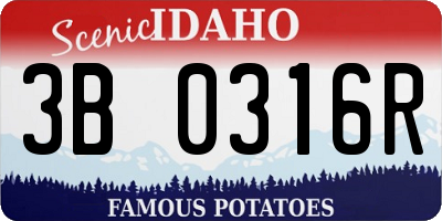ID license plate 3B0316R