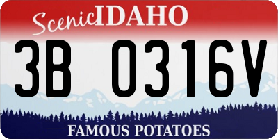 ID license plate 3B0316V