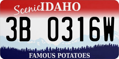 ID license plate 3B0316W