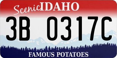 ID license plate 3B0317C