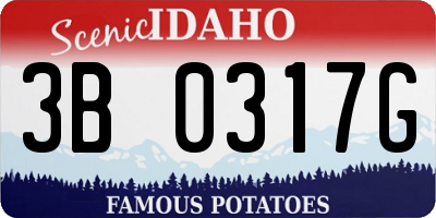 ID license plate 3B0317G