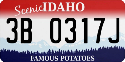 ID license plate 3B0317J