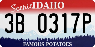 ID license plate 3B0317P