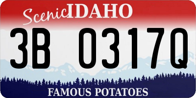 ID license plate 3B0317Q