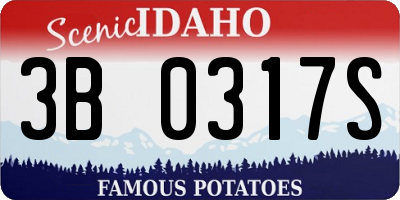 ID license plate 3B0317S