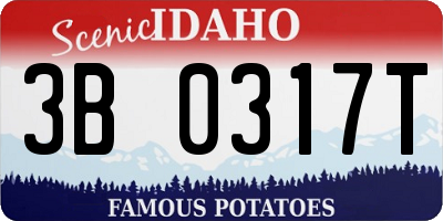 ID license plate 3B0317T