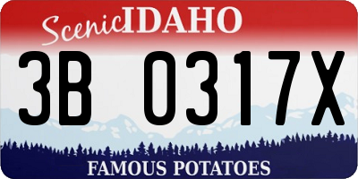 ID license plate 3B0317X