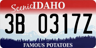 ID license plate 3B0317Z