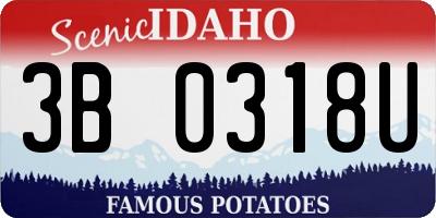 ID license plate 3B0318U