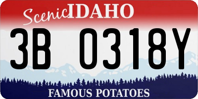 ID license plate 3B0318Y