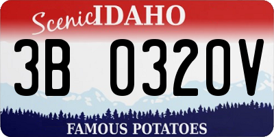 ID license plate 3B0320V