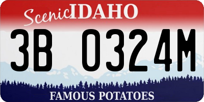 ID license plate 3B0324M