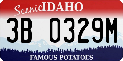 ID license plate 3B0329M