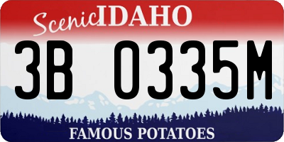 ID license plate 3B0335M