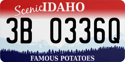 ID license plate 3B0336Q