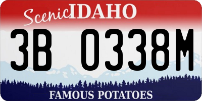 ID license plate 3B0338M