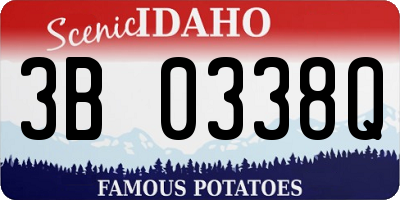 ID license plate 3B0338Q