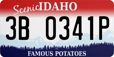 ID license plate 3B0341P