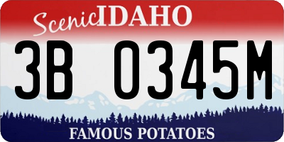 ID license plate 3B0345M