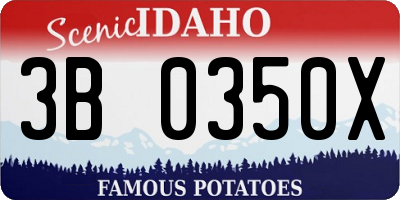 ID license plate 3B0350X
