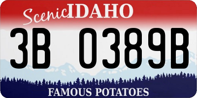 ID license plate 3B0389B