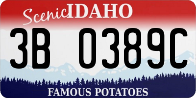 ID license plate 3B0389C