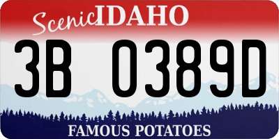 ID license plate 3B0389D