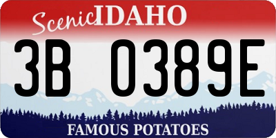 ID license plate 3B0389E