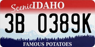 ID license plate 3B0389K