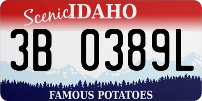 ID license plate 3B0389L