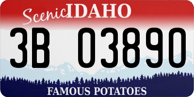ID license plate 3B0389O
