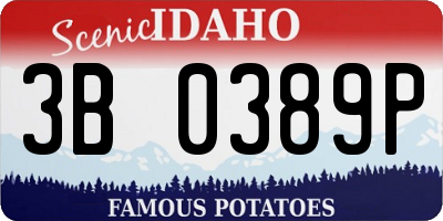 ID license plate 3B0389P