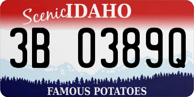 ID license plate 3B0389Q