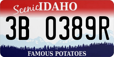 ID license plate 3B0389R