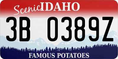 ID license plate 3B0389Z