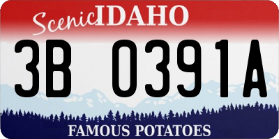 ID license plate 3B0391A