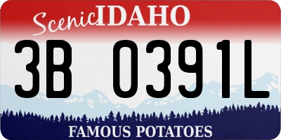 ID license plate 3B0391L