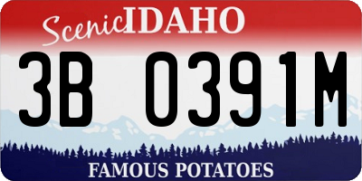 ID license plate 3B0391M