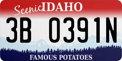 ID license plate 3B0391N
