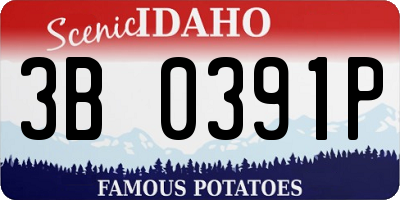 ID license plate 3B0391P