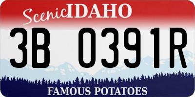 ID license plate 3B0391R