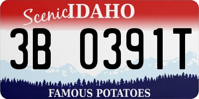 ID license plate 3B0391T
