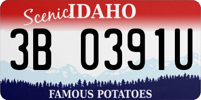 ID license plate 3B0391U