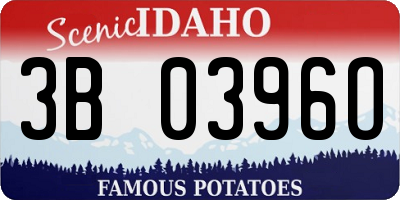 ID license plate 3B0396O