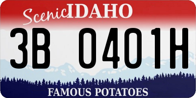 ID license plate 3B0401H